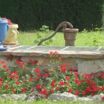 le printemps au Jardin d'En Naoua